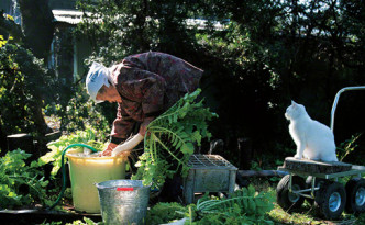Miyoko Ihara: Misao the Big Mama and Fukumaru the Cat