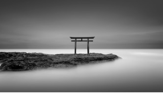 © Michael Levin
