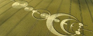 crop-circle