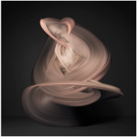 © Shinichi Maruyama