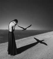 © Noell S. Oszvald