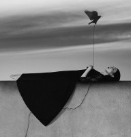 © Noell S. Oszvald