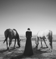 © Noell S. Oszvald