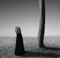 © Noell S. Oszvald