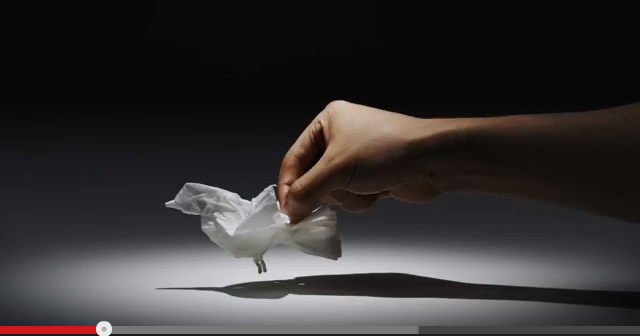 Tissue Animals (Video)