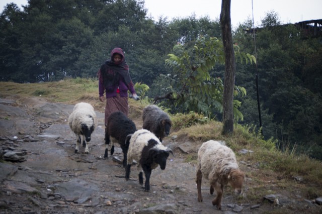 © Clara GO - Ghyachchok (Gorkha district)