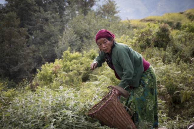 © Clara GO - Ghyachchok (Gorkha district)